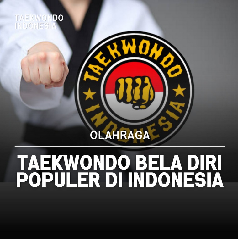 Taekwondo bela diri populer di Indonesia KICK SHADOW TAEKWONDO